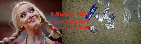 прущие грибы Корсаков
