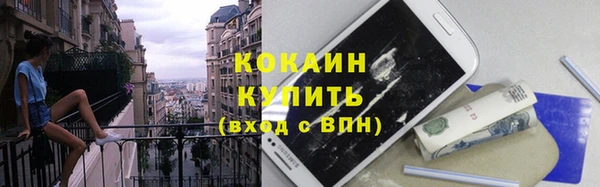 индика Краснотурьинск