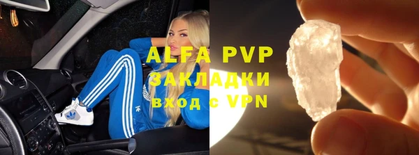 индика Краснотурьинск