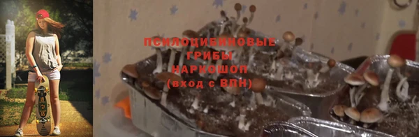 скорость Кодинск