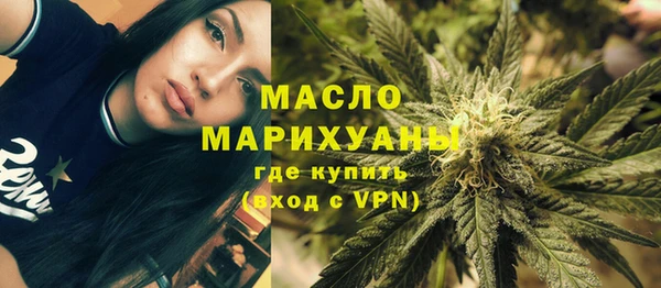 индика Краснотурьинск