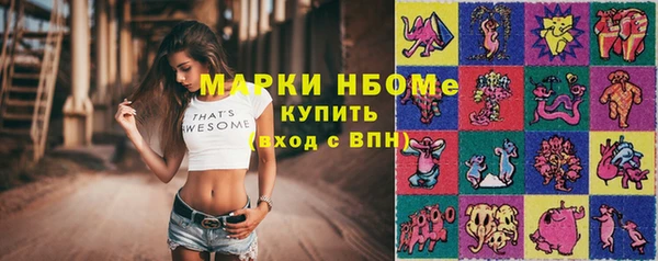 индика Краснотурьинск