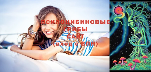 прущие грибы Корсаков