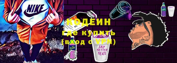 индика Краснотурьинск