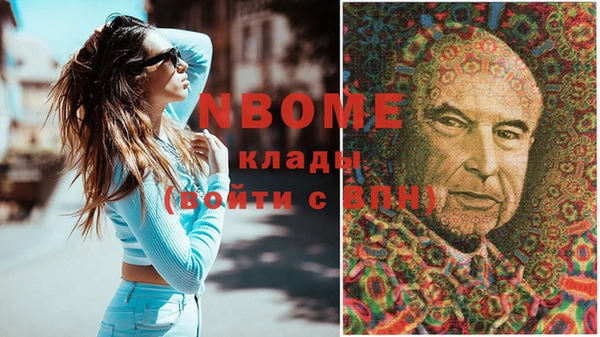 прущие грибы Корсаков