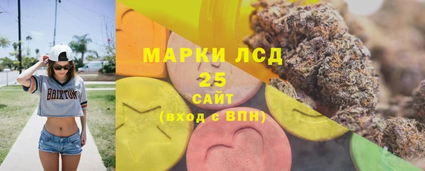 дурь Краснослободск