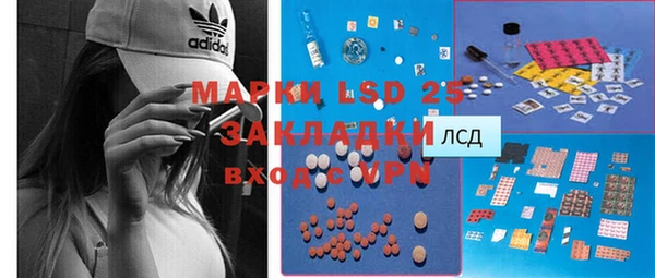индика Краснотурьинск