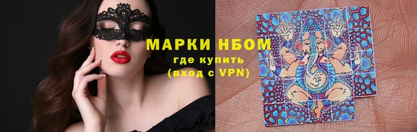 индика Краснотурьинск