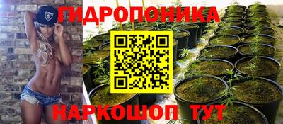 амф Будённовск