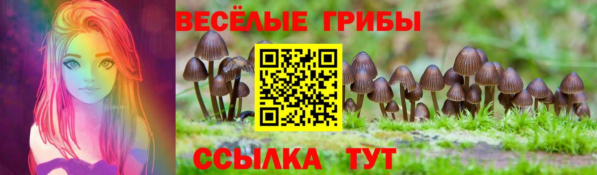 Галлюциногенные грибы мухоморы Реутов